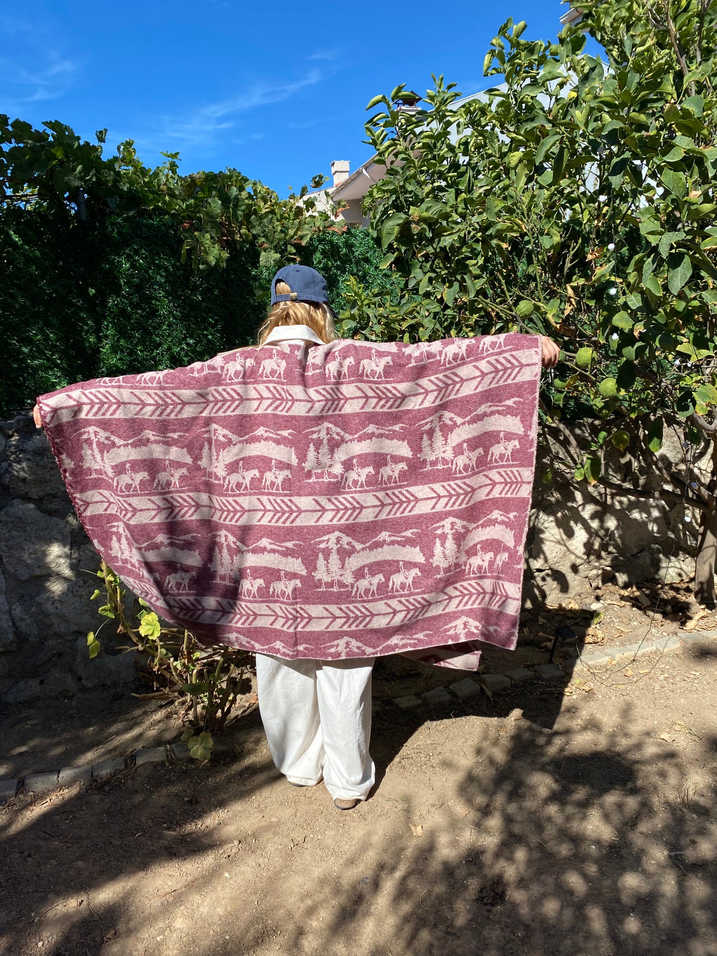 Panço Vişne